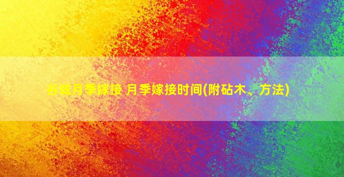 谷城月季嫁接 月季嫁接时间(附砧木、方法)